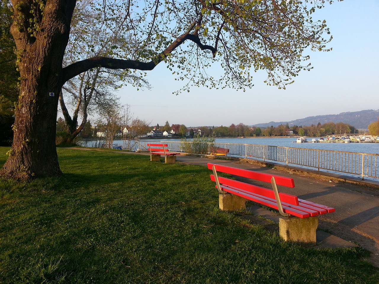 熟的转变 熟的转变