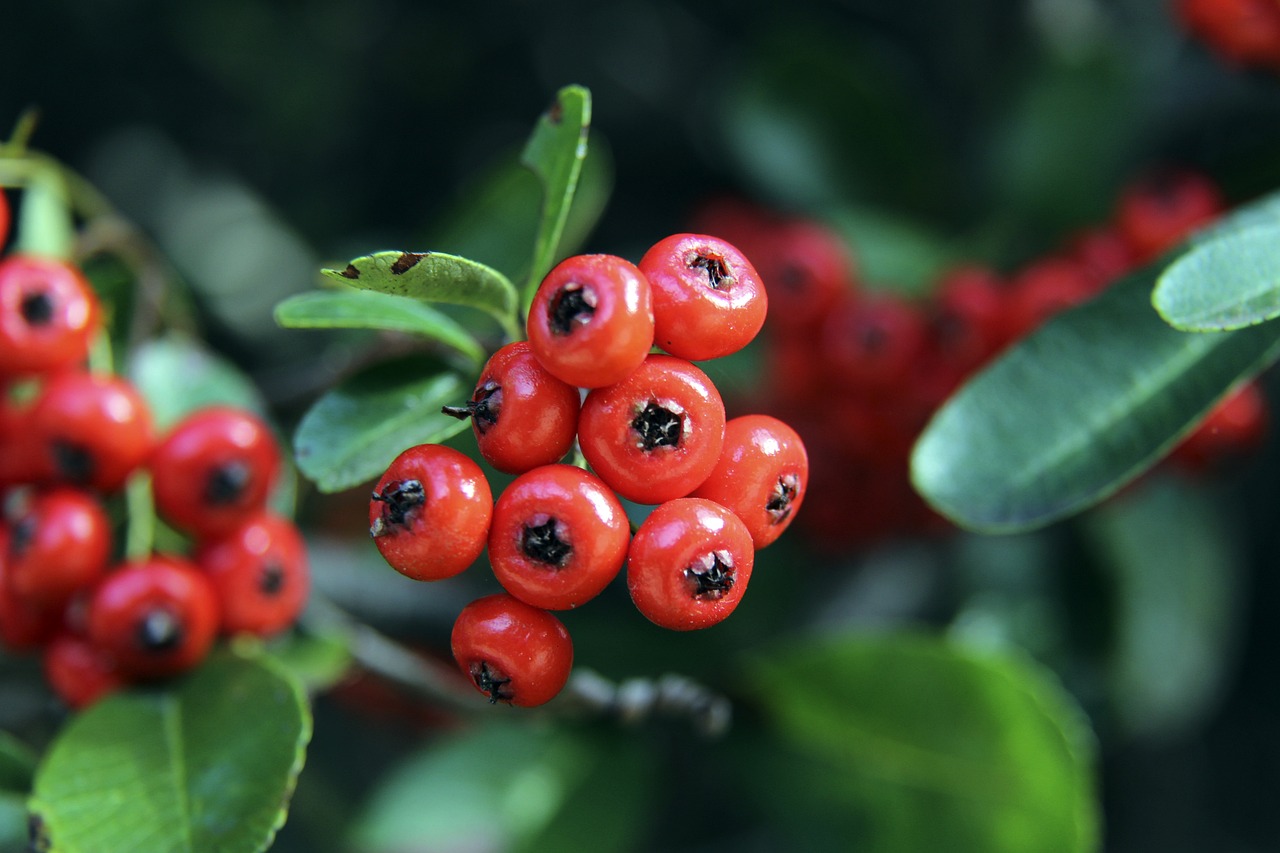 应呈现出了 应呈现出了